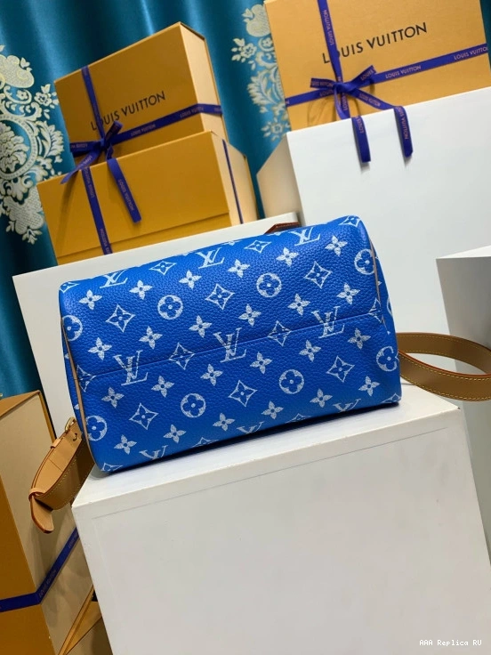 Aaa replica ru Louis Vuitton 25 SPEEDY 0812